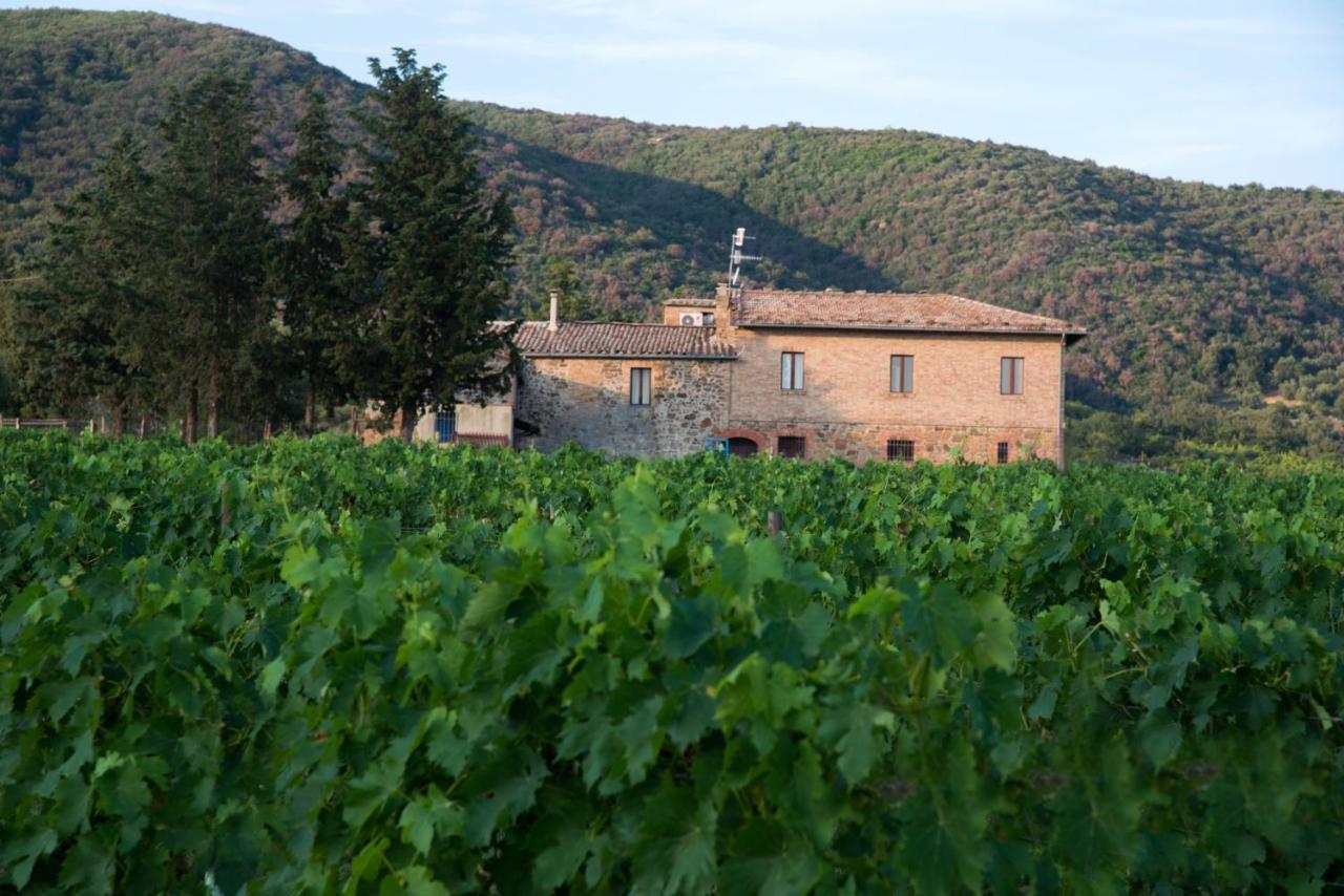 Villa Luce Di Vino à Montalcino Extérieur photo