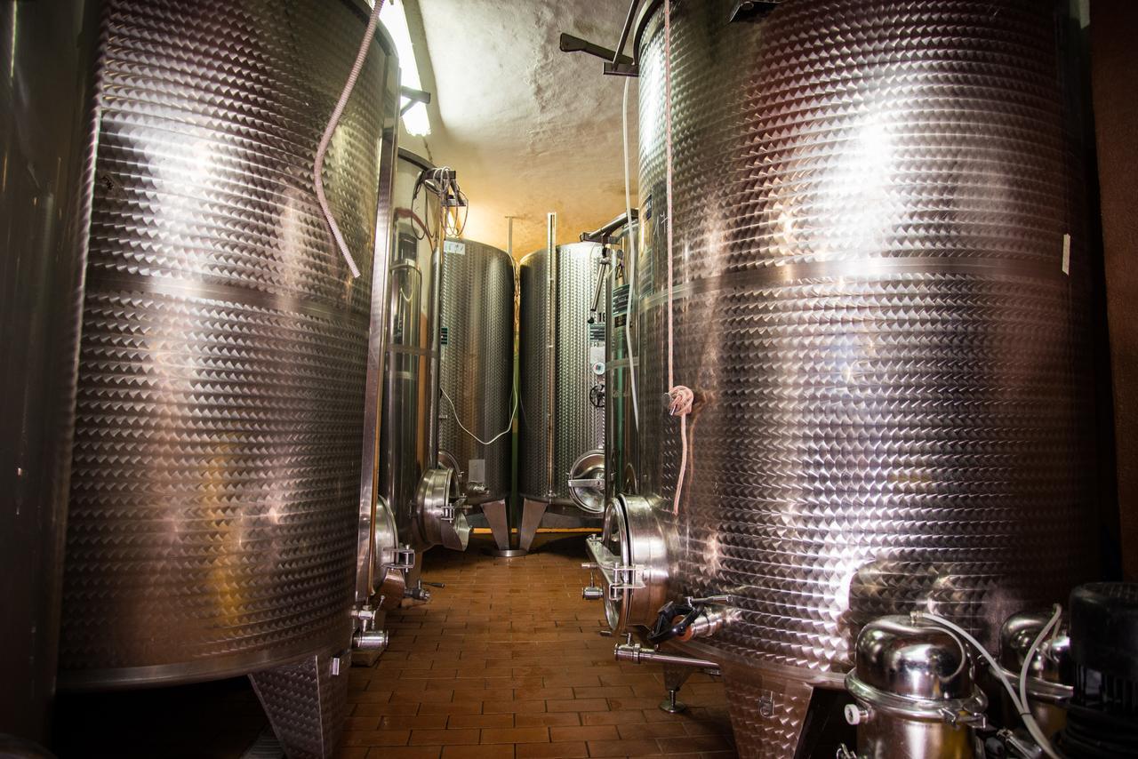 Villa Luce Di Vino à Montalcino Extérieur photo